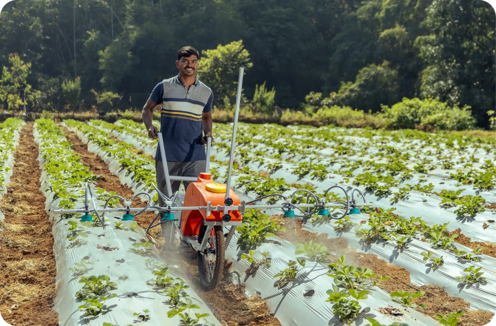 The vision that guides our work